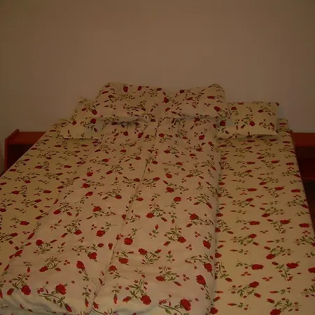 Guest house Casa Vranceana *